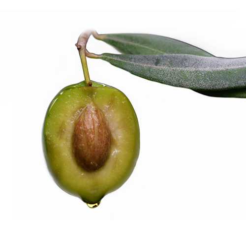 Olivenkern